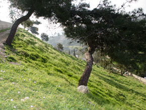 images/Jerusalem_HinnonValley_slopes_small.jpg